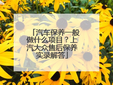 汽车保养一般做什么项目？上汽大众售后保养实录解答
