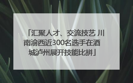 汇聚人才、交流技艺 川南渝西近300名选手在酒城泸州展开技能比拼