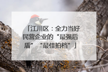 江川区：全力当好民营企业的“最强后盾”“最佳拍档”