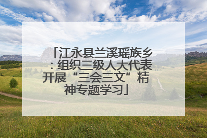 江永县兰溪瑶族乡：组织三级人大代表开展“三会三文”精神专题学习