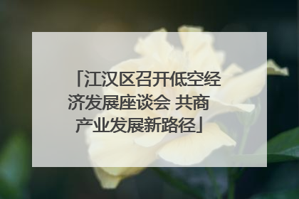 江汉区召开低空经济发展座谈会 共商产业发展新路径