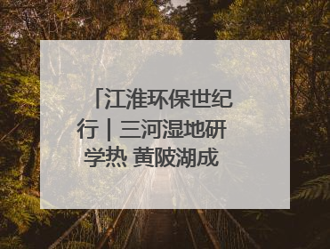 江淮环保世纪行｜三河湿地研学热 黄陂湖成鸟类天堂
