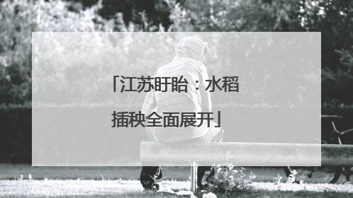 江苏盱眙：水稻插秧全面展开