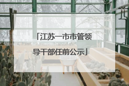 江苏一市市管领导干部任前公示