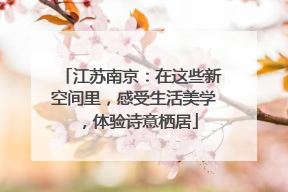 江苏南京：在这些新空间里，感受生活美学，体验诗意栖居