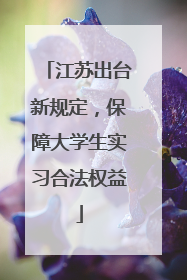 江苏出台新规定，保障大学生实习合法权益