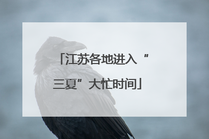 江苏各地进入“三夏”大忙时间