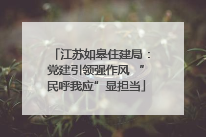 江苏如皋住建局：党建引领强作风 “民呼我应”显担当