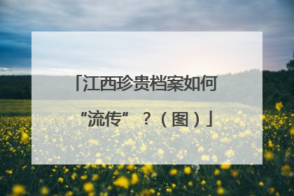 江西珍贵档案如何“流传”？（图）