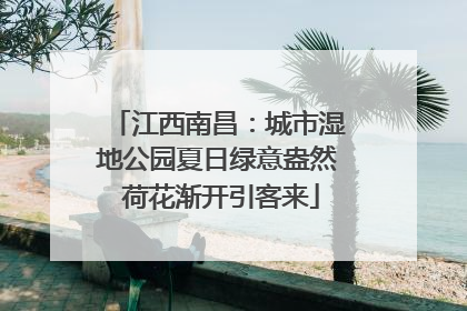 江西南昌：城市湿地公园夏日绿意盎然 荷花渐开引客来