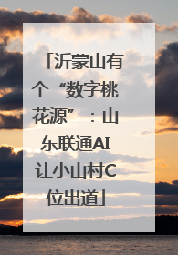 沂蒙山有个“数字桃花源”：山东联通AI让小山村C位出道