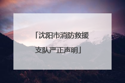 沈阳市消防救援支队严正声明