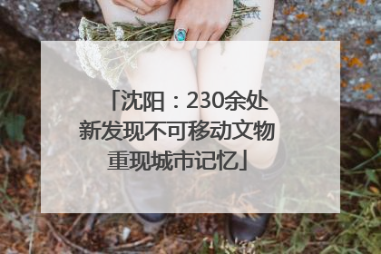 沈阳：230余处新发现不可移动文物重现城市记忆