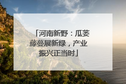 河南新野：瓜蒌藤蔓展新绿，产业振兴正当时