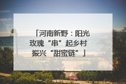 河南新野：阳光玫瑰“串”起乡村振兴“甜蜜链”