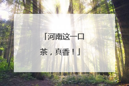 河南这一口茶，真香！