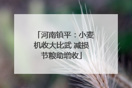 河南镇平：小麦机收大比武 减损节粮助增收