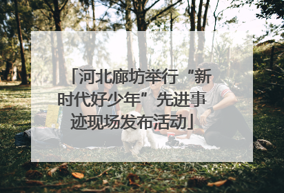 河北廊坊举行“新时代好少年”先进事迹现场发布活动