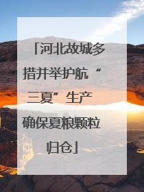 河北故城多措并举护航“三夏”生产 确保夏粮颗粒归仓