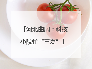 河北曲周：科技小院忙“三夏”