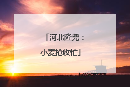 河北隆尧：小麦抢收忙