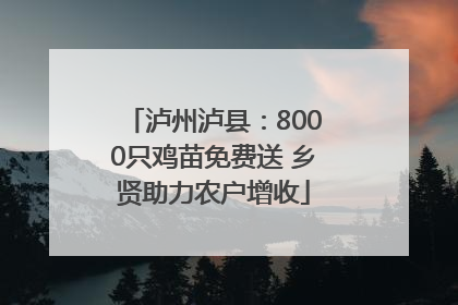 泸州泸县：8000只鸡苗免费送 乡贤助力农户增收
