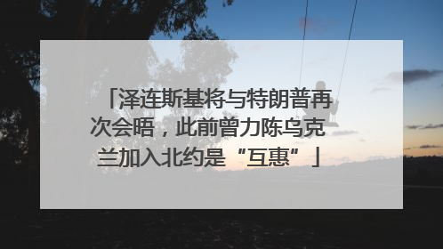 泽连斯基将与特朗普再次会晤，此前曾力陈乌克兰加入北约是“互惠”