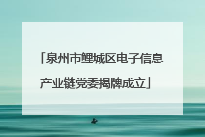 泉州市鲤城区电子信息产业链党委揭牌成立