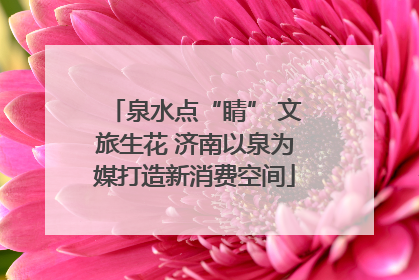 泉水点“睛” 文旅生花 济南以泉为媒打造新消费空间