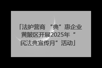 法护营商 “典”惠企业 黄陂区开展2025年“民法典宣传月”活动