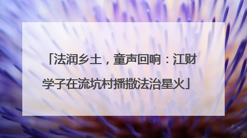 法润乡土，童声回响：江财学子在流坑村播撒法治星火