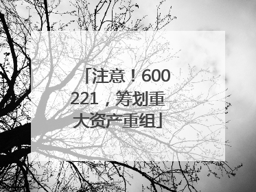 注意！600221，筹划重大资产重组