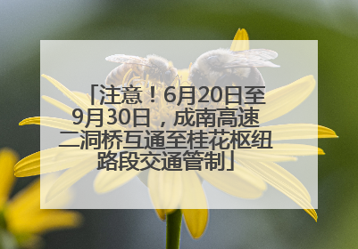注意！6月20日至9月30日，成南高速二洞桥互通至桂花枢纽路段交通管制