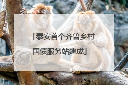 泰安首个齐鲁乡村国债服务站建成