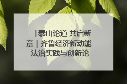 泰山论道 共启新章｜齐鲁经济新动能 法治实践与创新论坛成功举办
