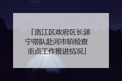 洛江区政府区长郭宁带队赴河市镇检查重点工作推进情况
