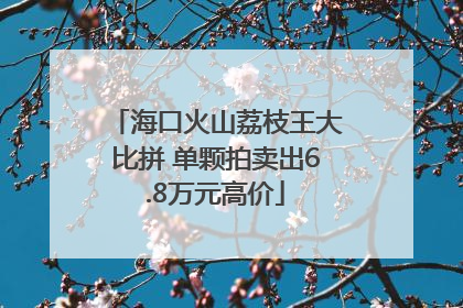 海口火山荔枝王大比拼 单颗拍卖出6.8万元高价