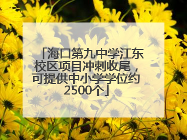 海口第九中学江东校区项目冲刺收尾，可提供中小学学位约2500个