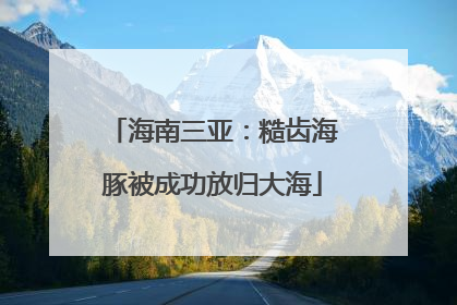 海南三亚：糙齿海豚被成功放归大海
