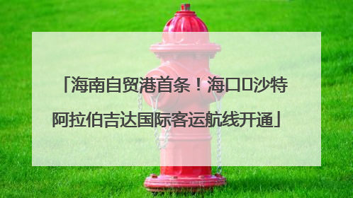 海南自贸港首条！海口⇌沙特阿拉伯吉达国际客运航线开通