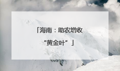 海南：助农增收 “黄金叶”