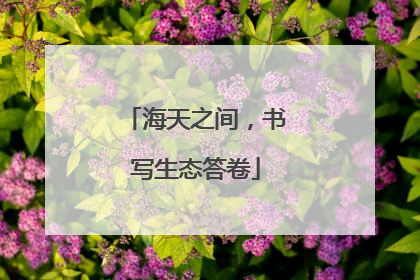 海天之间，书写生态答卷