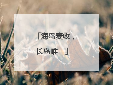 海岛麦收，长岛唯一
