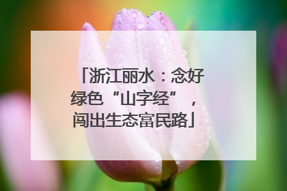 浙江丽水：念好绿色“山字经”，闯出生态富民路