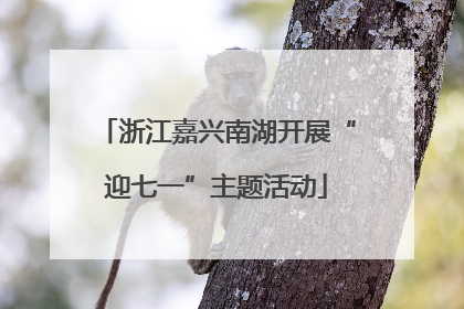 浙江嘉兴南湖开展“迎七一”主题活动