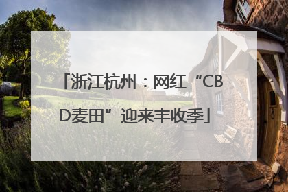 浙江杭州：网红“CBD麦田”迎来丰收季