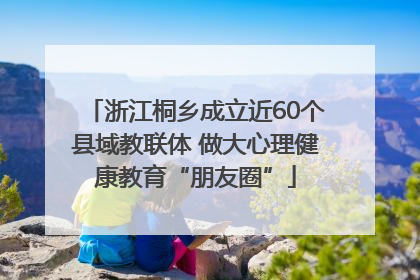 浙江桐乡成立近60个县域教联体 做大心理健康教育“朋友圈”
