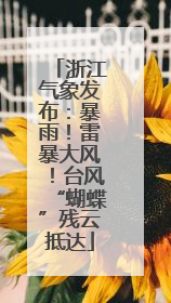 浙江气象发布：暴雨！雷暴大风！台风“蝴蝶”残云抵达