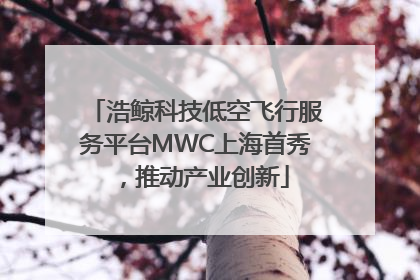 浩鲸科技低空飞行服务平台MWC上海首秀，推动产业创新
