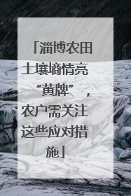 淄博农田土壤墒情亮“黄牌”，农户需关注这些应对措施